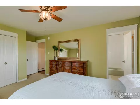 703 4th St, Windsor, CO 80550 photo 22