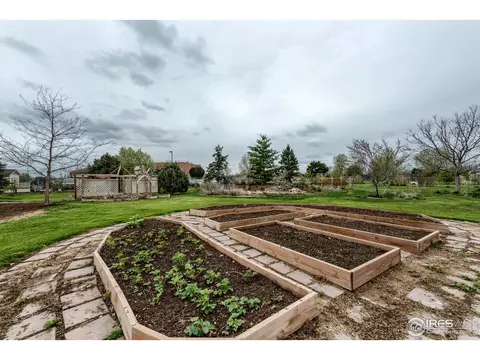703 4th St, Windsor, CO 80550 photo 35