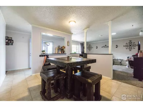 25 Daisy Ct, Windsor, CO 80550 photo 8