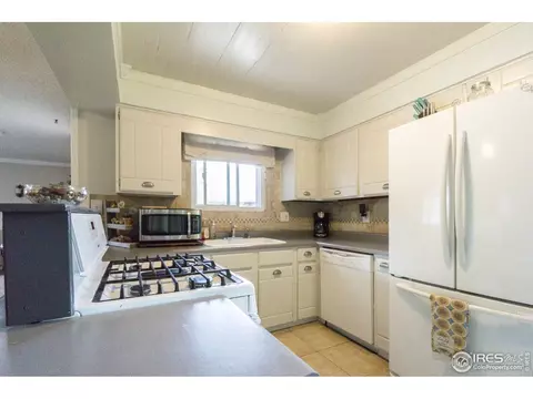 25 Daisy Ct, Windsor, CO 80550 photo 7