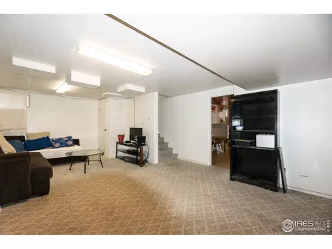 25 Daisy Ct, Windsor, CO 80550 photo 19