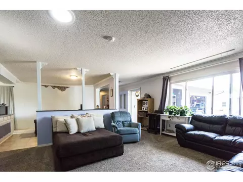 25 Daisy Ct, Windsor, CO 80550 photo 11