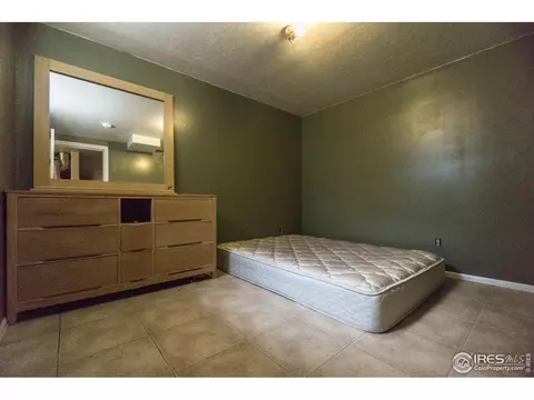 25 Daisy Ct, Windsor, CO 80550 photo 21