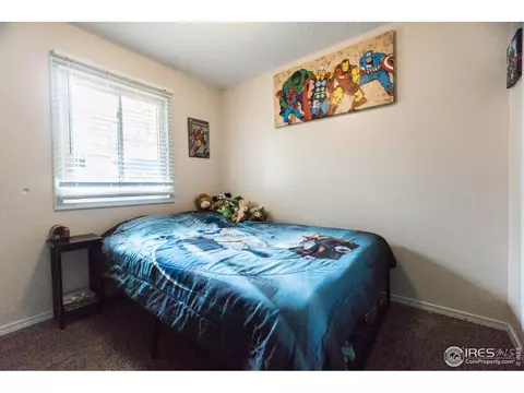 25 Daisy Ct, Windsor, CO 80550 photo 13