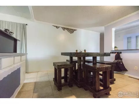 25 Daisy Ct, Windsor, CO 80550 photo 9