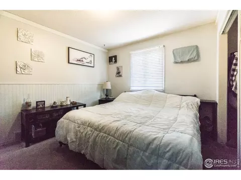 25 Daisy Ct, Windsor, CO 80550 photo 16