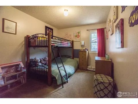 25 Daisy Ct, Windsor, CO 80550 photo 12