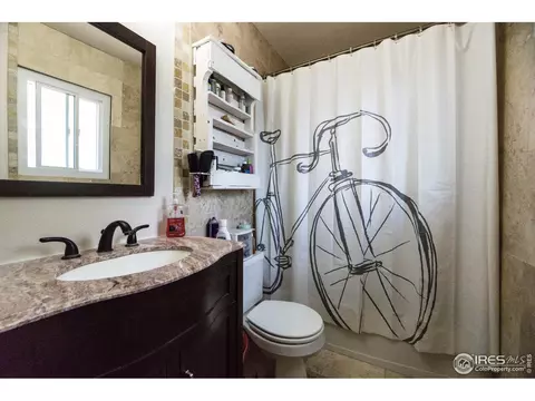 25 Daisy Ct, Windsor, CO 80550 photo 14