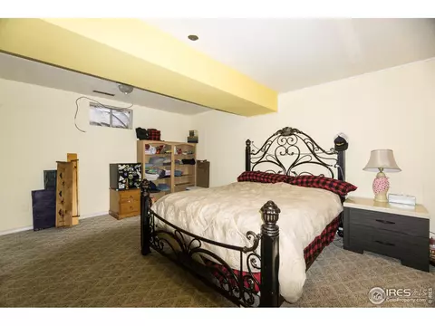 25 Daisy Ct, Windsor, CO 80550 photo 20