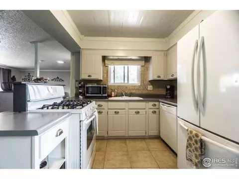25 Daisy Ct, Windsor, CO 80550 photo 5