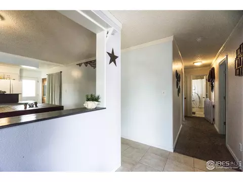 25 Daisy Ct, Windsor, CO 80550 photo 4