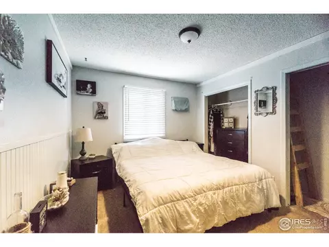 25 Daisy Ct, Windsor, CO 80550 photo 15