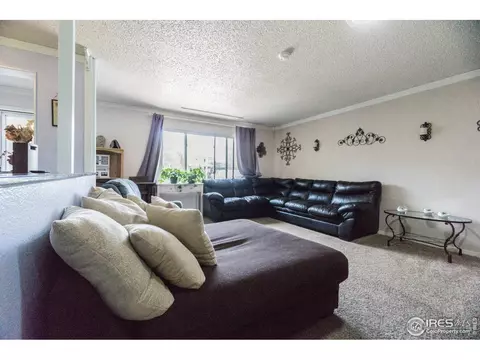 25 Daisy Ct, Windsor, CO 80550 photo 10
