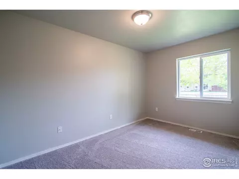 724 Lilac Dr, Windsor, CO 80550 photo 11