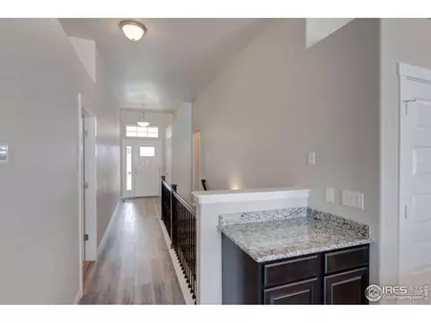5463 Maidenhead Dr, Windsor, CO 80550 photo 19