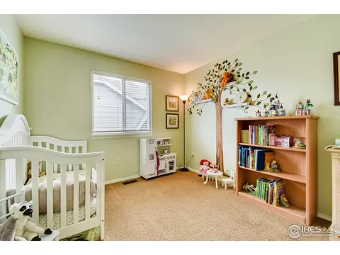 6581 Stagecoach Ave, Firestone, CO 80504 photo 18