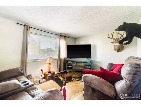 140 Ivy Ct, Windsor, CO 80550 photo 6