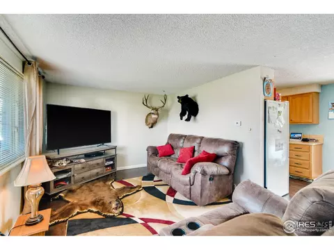 140 Ivy Ct, Windsor, CO 80550 photo 5