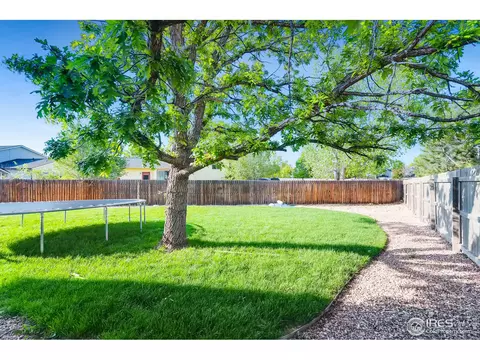 140 Ivy Ct, Windsor, CO 80550 photo 27