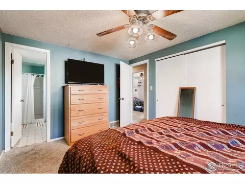 140 Ivy Ct, Windsor, CO 80550 photo 16