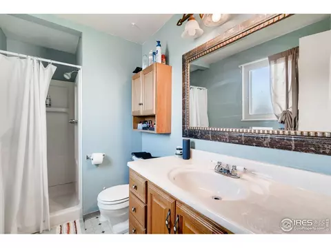 140 Ivy Ct, Windsor, CO 80550 photo 17