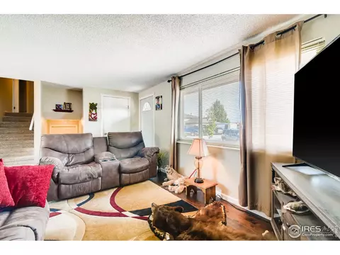 140 Ivy Ct, Windsor, CO 80550 photo 7