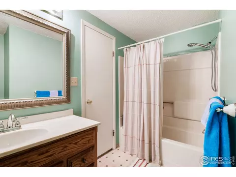 140 Ivy Ct, Windsor, CO 80550 photo 21