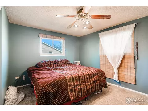 140 Ivy Ct, Windsor, CO 80550 photo 15