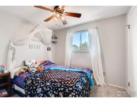 140 Ivy Ct, Windsor, CO 80550 photo 18