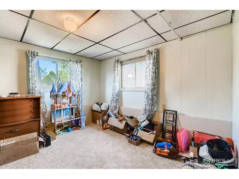 140 Ivy Ct, Windsor, CO 80550 photo 22