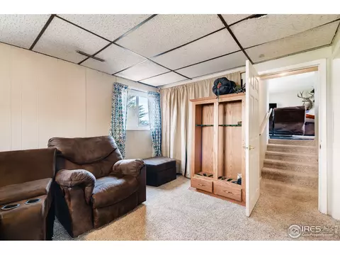 140 Ivy Ct, Windsor, CO 80550 photo 23