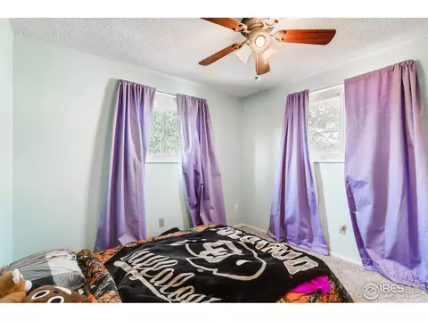 140 Ivy Ct, Windsor, CO 80550 photo 19