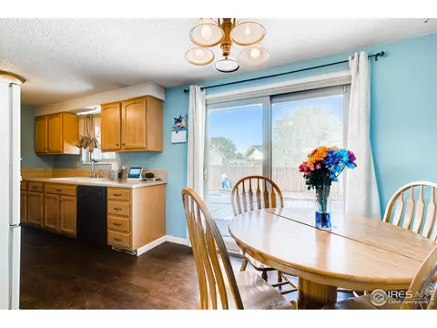 140 Ivy Ct, Windsor, CO 80550 photo 14