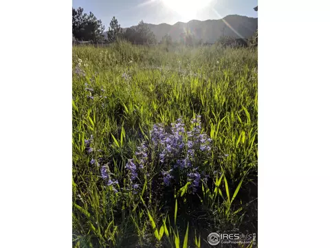 112 Deer Trail Rd, Boulder, CO 80302 photo 32