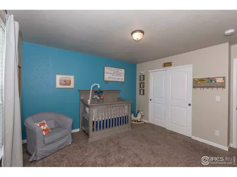 405 Audubon Blvd, Severance, CO 80550 photo 29