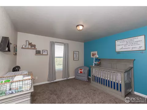 405 Audubon Blvd, Severance, CO 80550 photo 28