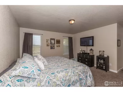 405 Audubon Blvd, Severance, CO 80550 photo 20