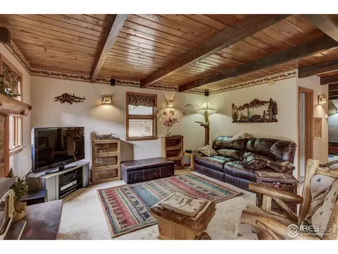 171 Wichita Rd, Lyons, CO 80540 photo 17