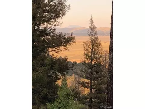 385 Lantern Loop, Hartsel, CO 80449 photo 12