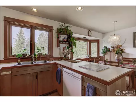 595 Left Fork Rd, Boulder, CO 80302 photo 8
