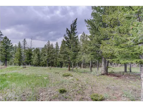 595 Left Fork Rd, Boulder, CO 80302 photo 19