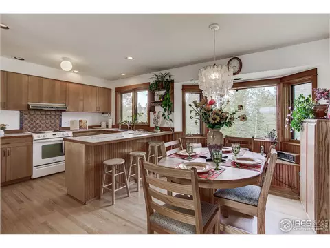 595 Left Fork Rd, Boulder, CO 80302 photo 6
