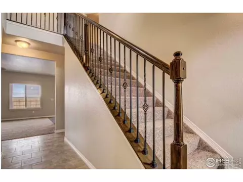 4927 Keston Dr, Windsor, CO 80550 photo 10