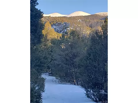 104 Wolf Creek Loop, Alamosa, CO 81101