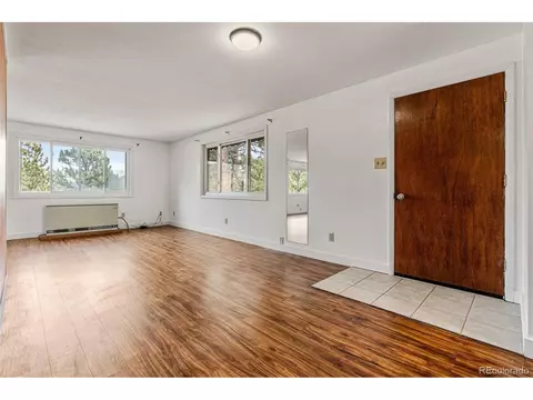 333 Pinewood Dr, Lyons, CO 80540 photo 5
