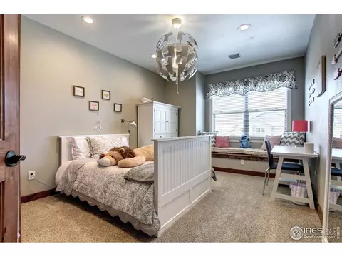 1993 Cataluna Dr, Windsor, CO 80550 photo 26