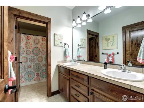1993 Cataluna Dr, Windsor, CO 80550 photo 25