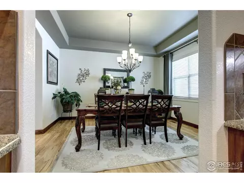 1993 Cataluna Dr, Windsor, CO 80550 photo 15