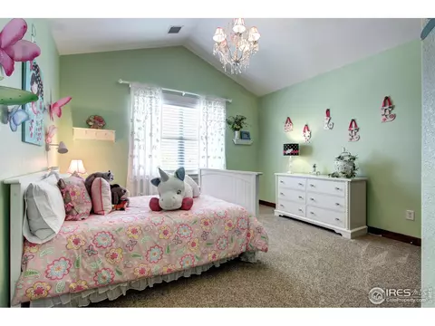 1993 Cataluna Dr, Windsor, CO 80550 photo 24