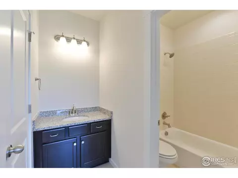 2097 Gather Ct, Windsor, CO 80550 photo 5